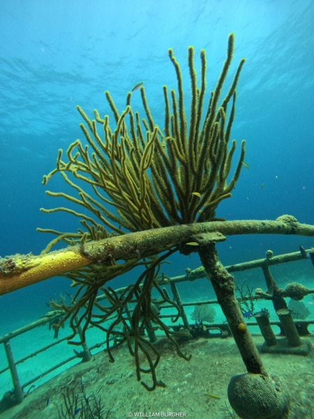 DCIM\100GOPRO\GOPR3179.JPG