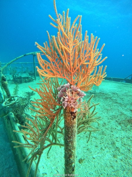 DCIM\100GOPRO\GOPR3177.JPG