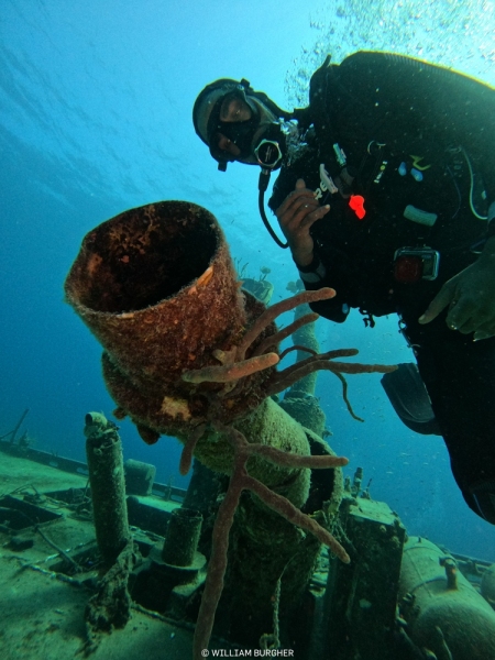 DCIM\100GOPRO\GOPR3176.JPG