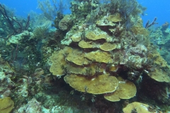DCIM\100GOPRO\GOPR1816.JPG