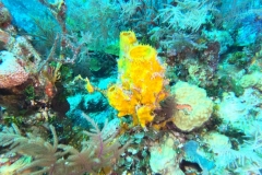DCIM\100GOPRO\GOPR1821.JPG