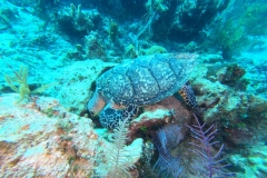 DCIM\100GOPRO\GOPR1826.JPG
