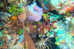 DCIM\100GOPRO\GOPR1842.JPG