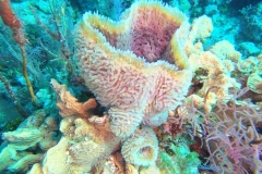 DCIM\100GOPRO\GOPR1843.JPG