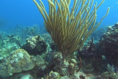 DCIM\100GOPRO\GOPR1845.JPG