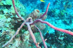 DCIM\100GOPRO\GOPR1849.JPG