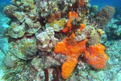 DCIM\100GOPRO\GOPR1850.JPG