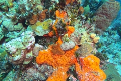 DCIM\100GOPRO\GOPR1851.JPG
