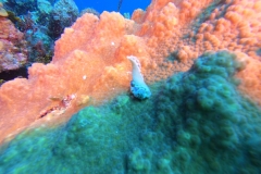 DCIM\100GOPRO\GOPR1857.JPG