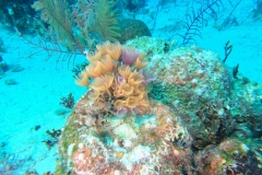 DCIM\100GOPRO\GOPR1863.JPG