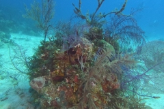 DCIM\100GOPRO\GOPR1871.JPG