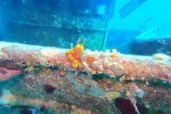 DCIM\100GOPRO\GOPR1885.JPG