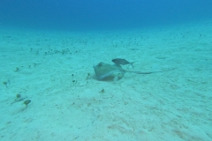 DCIM\100GOPRO\GOPR1909.JPG