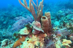 DCIM\100GOPRO\GOPR1804.JPG