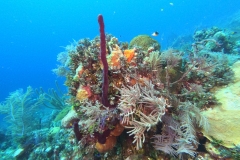 DCIM\100GOPRO\GOPR1806.JPG