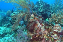 DCIM\100GOPRO\GOPR1809.JPG