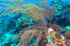 DCIM\100GOPRO\GOPR1810.JPG