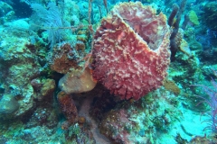 DCIM\100GOPRO\GOPR1812.JPG