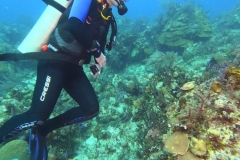 DCIM\100GOPRO\GOPR1815.JPG