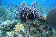 DCIM\100GOPRO\GOPR5361.JPG