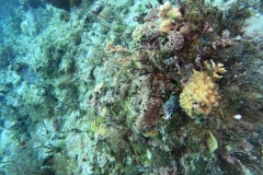 DCIM\100GOPRO\GOPR5383.JPG