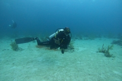 DCIM\100GOPRO\GOPR5388.JPG