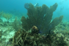 DCIM\100GOPRO\GOPR5419.JPG