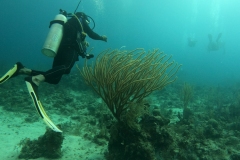 DCIM\100GOPRO\GOPR5423.JPG