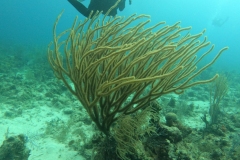 DCIM\100GOPRO\GOPR5424.JPG