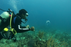 DCIM\100GOPRO\GOPR5430.JPG