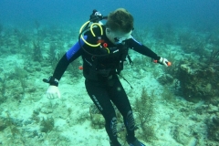 DCIM\100GOPRO\GOPR5437.JPG
