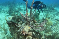 DCIM\100GOPRO\GOPR5438.JPG