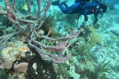 DCIM\100GOPRO\GOPR5439.JPG