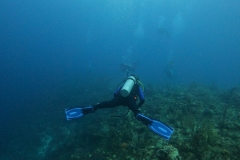 DCIM\100GOPRO\GOPR5331.JPG