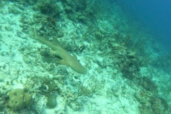 DCIM\100GOPRO\GOPR5453.JPG