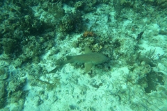 DCIM\100GOPRO\GOPR5456.JPG
