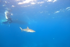DCIM\100GOPRO\GOPR5471.JPG