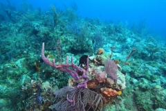 DCIM\100GOPRO\GOPR5332.JPG