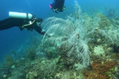 DCIM\100GOPRO\GOPR5347.JPG
