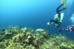 DCIM\100GOPRO\GOPR5356.JPG