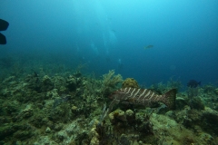 DCIM\100GOPRO\GOPR5357.JPG