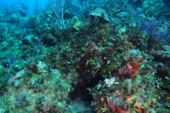 DCIM\100GOPRO\GOPR5326.JPG