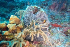 DCIM\100GOPRO\GOPR1933.JPG