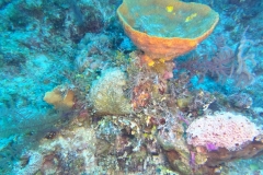 DCIM\100GOPRO\GOPR1935.JPG
