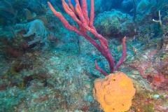 DCIM\100GOPRO\GOPR1936.JPG