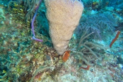 DCIM\100GOPRO\GOPR1937.JPG