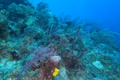 DCIM\100GOPRO\GOPR1941.JPG