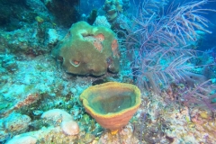 DCIM\100GOPRO\GOPR1942.JPG