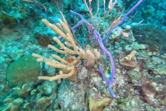 DCIM\100GOPRO\GOPR1951.JPG