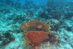 DCIM\100GOPRO\GOPR1955.JPG